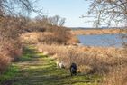  Ferienhaus vor Rügen Sundhagen - 