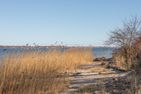  Ferienhaus vor Rügen Sundhagen - 