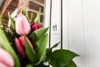  Ferienwohnung Mare Nostrum 11 Westerland - 