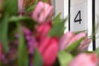  Ferienwohnung Mare Nostrum 4 Westerland - 