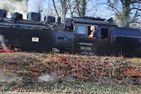  Brockenbahnblick Sachsen-Anhalt - 