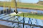  Ferienwohnung Blinkfüer Ostfriesland - Gartenblick
