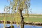  Ferienwohnung Blinkfüer Ostfriesland - Gartenblick
