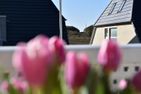  Ferienwohnung Mare Nostrum 8 Westerland - 
