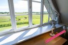  Utblick Borgsum - Meerblick