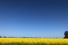  Tief 10 mit beheiztem Pool -  - Landschaft