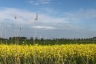  Tief 12  - 