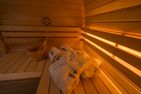  Haus Carla Marie Utersum - Sauna
