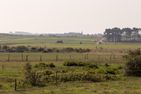  Wiese & Watt Norddorf - Landschaftsblick aus der Ferienwohnung Wiese & Watt