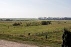  Wiese & Watt Norddorf - Landschaftsblick Wiese & Watt