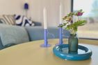 Haus  NordseeGut - das Bunte Dithmarschen - 