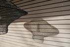 Haus  NordseeGut - das Bunte Dithmarschen - 