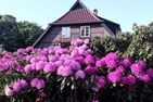  Christel Zwischenahn Bad Zwischenahn - Gartenblick