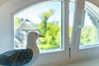  Landhaus Butt 05 Ostseebad Ahrenshoop - 