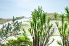 Strandhaus Claassen Strandhaus Claassen 01 Ostseebad Ahrenshoop - 