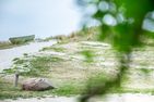 Strandhaus Claassen Strandhaus Claassen 01 Ostseebad Ahrenshoop - 