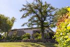  Haus Anna Atelier Ostseebad Ahrenshoop - 