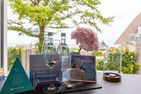  Haus Anna Atelier Ostseebad Ahrenshoop - 