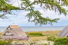  Haus Anna Atelier Ostseebad Ahrenshoop - 