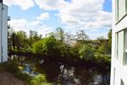  48.2.M Seestern  - Landschaft