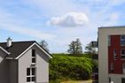  48.2.M Seestern  - Landschaft