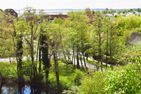  48.5.S Waterkant  - Landschaft