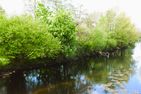  50.1.S Waterkant  - Landschaft
