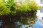  50.1.S Waterkant  - Landschaft
