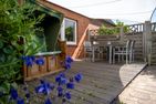  Ferienwohnung Mohnblume Wyk auf Föhr - Terrasse
