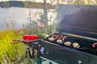  (15) Kristallvilla am See in Schweden - 2 Häuser in einem Paket Smaland - 