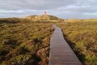 Friesenhaus Amrum Ferienhaushälfte „Klönschnack" Süddorf auf Amrum - Bohlenweg durch die Dünenlandschaft auf Amrum