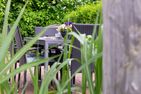  Haus Sommerliebe Ostseebad Prerow - 