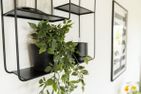  Ferienwohnung Ausblick Braunlage - 
