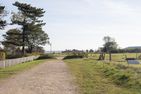  Kleine Perle auf Amrum Norddorf - Landschaft bei der Ferienwohnung Kleine Perle