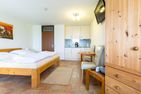 Ferienwohnpark Immenstaad am Bodensee Ein-Zimmer-Apartment 55/32 Bodensee - Wohnzimmer