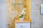 Ferienwohnpark Immenstaad am Bodensee Maisonette-Wohnung 53/27 mit Seeblick Bodensee - Bathroom