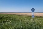  BiAn Husum - 