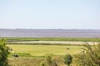  Nordsee pur Husum - 