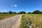  Ferienanlage "Uns Wiek Hus" Middelhagen - Landschaft