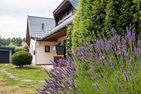  Haus Windflüchter Ostseebad Dierhagen - 