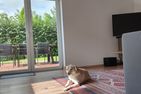  Annas Lüttje Huuske Krummhörn - Wohnzimmer