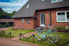  Einsiedlerkrebs Nordhelmsiedlung - 