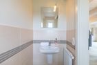  Salzwiese Dagebüll - 