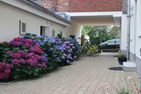  Stadtwohnung 9 Wyk auf Föhr - Nachbarschaft