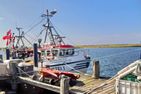  Albatros Stein - Strand