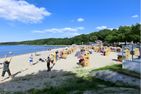  Dünengras Heikendorf - Strand