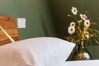  Sommerfrische Ostseebad Ahrenshoop - 
