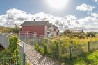  Schimmelreiter Dagebüll - 
