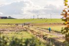  Schipplanden Husum - 