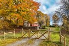  (20) Ferienhaus Nilssons am See mit Sauna Smaland - Der neue Zaun und das Tor für einen Urlaub mit Hund